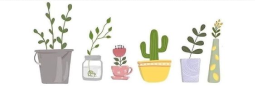 banner-2
